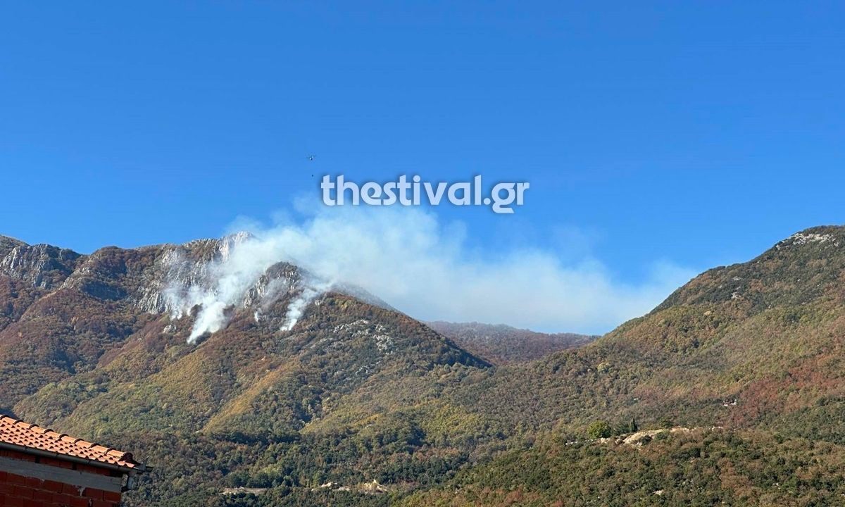 Φωτιά στο Παγγαίο Όρος Ελεγχόμενη Κατάσταση και Συνεχιζόμενη Κατάσβεση