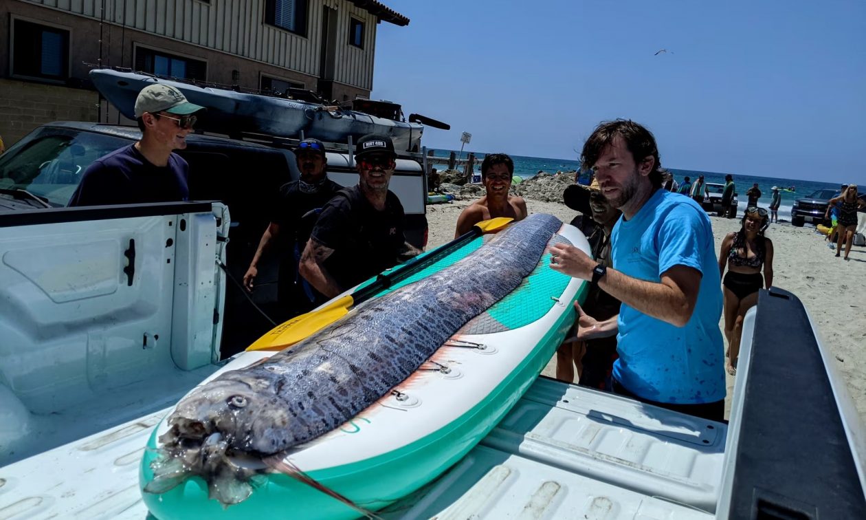 «Η Συναρπαστική Σύνδεση Σεισμών και Σπάνιων Ψαριών στην Καλιφόρνια»