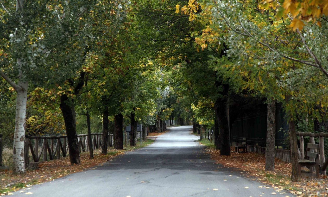 Ο Δρόμος της Αγάπης στη Βυτίνα Ένας Ιδανικός Προορισμός για τους Ερωτευμένους