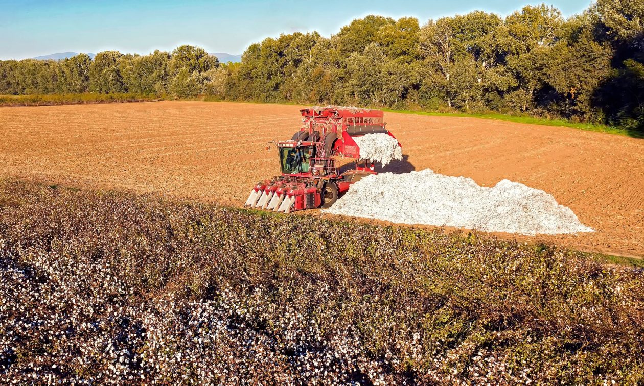 Ρύθμιση Αγροτικών Δανείων Προσφέρει Στήριξη σε Αγρότες και Συνεταιρισμούς